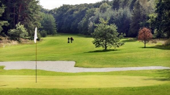 Dayz Sohojlandet Golf Resort Gjern Cameră foto